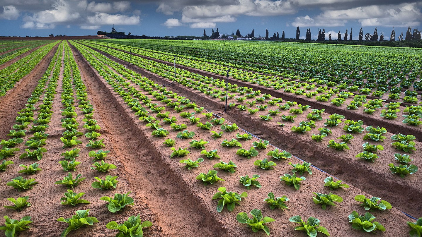 BOMBARDIER Produkte Intrachem Bio