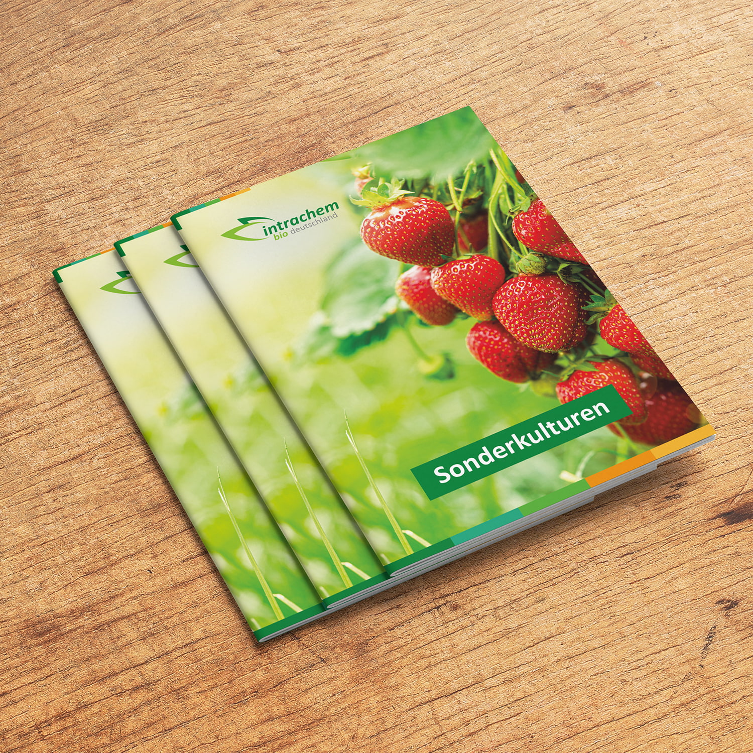 intrachem-produktkatalog-sonderkulturen-202511.jpg